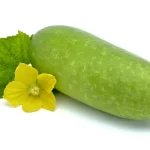 สนฉัตร
