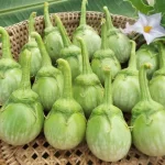 คริสต์มาส