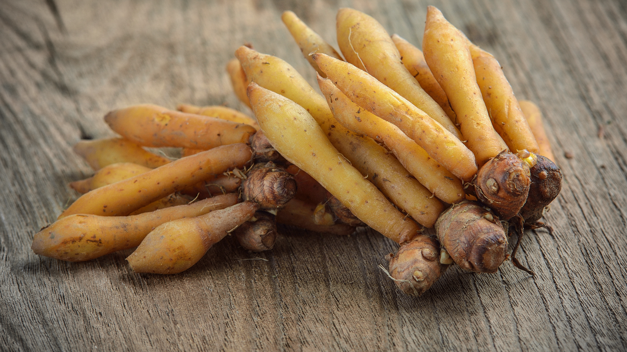 กระชายขาว