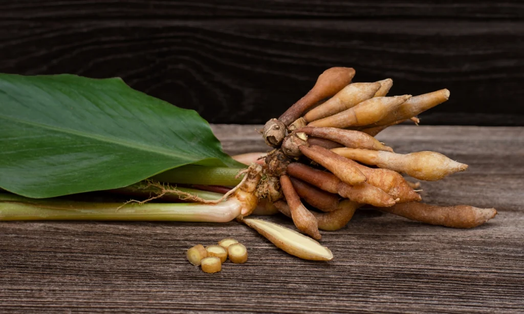 กระชายขาว